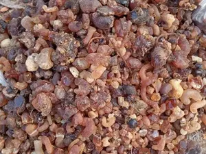 Gum Arabic (Acacia Gum)