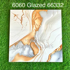 60 by 60 Goodwill Ceramics Tiles