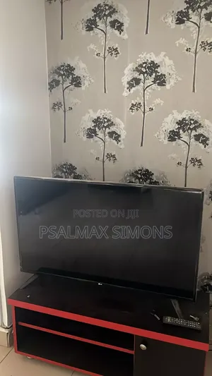 Barely Used 43 Inch Plasma Lg Tv for Sale