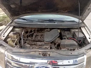 Ford Edge 2010 Silver