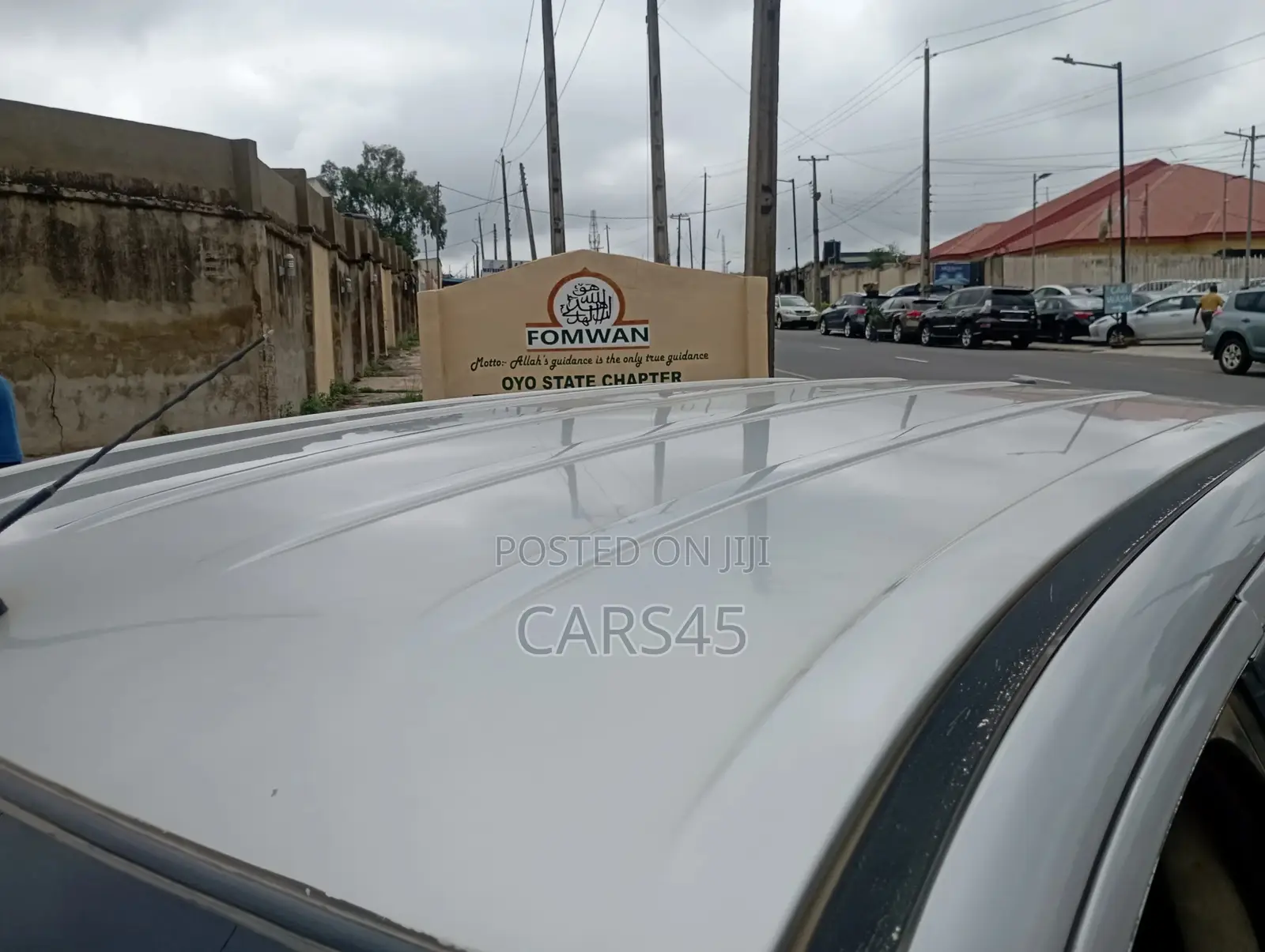 Ford Edge 2010 Silver