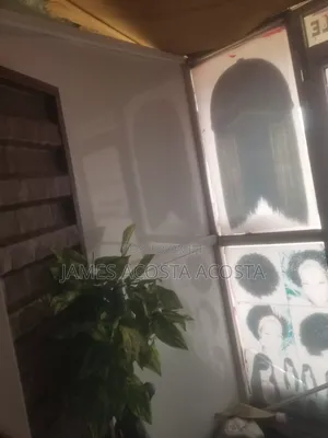 Aluminum Door