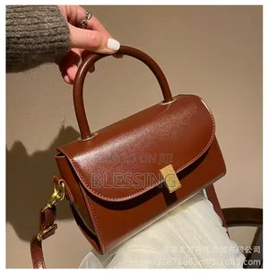 Brown and Nude Portal Hand Bag for All Occasions at Affordable Price