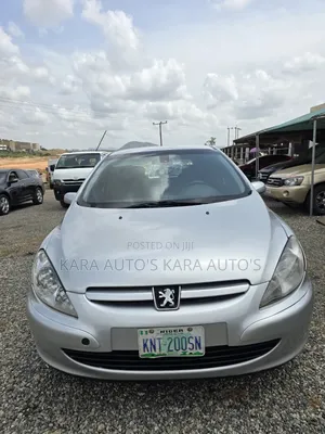Peugeot 307 2007 Silver