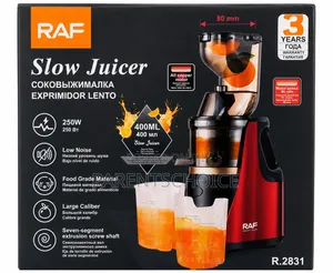 Raf Slow Juicer
