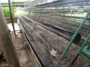 Agriculture