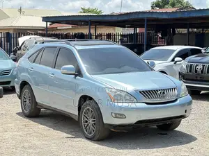 Lexus RX 2008 Gray