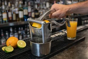 Manual Citrus Juice Press – Heavy-Duty Hand Press Juicer