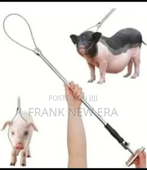 Animal Catcher