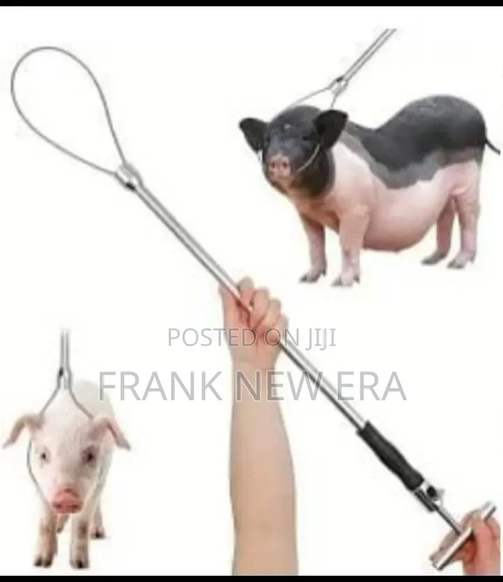 Animal Catcher