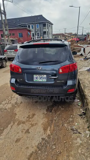 Hyundai Santa Fe 2008 Gray