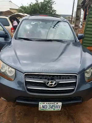 Hyundai Santa Fe 2008 Gray