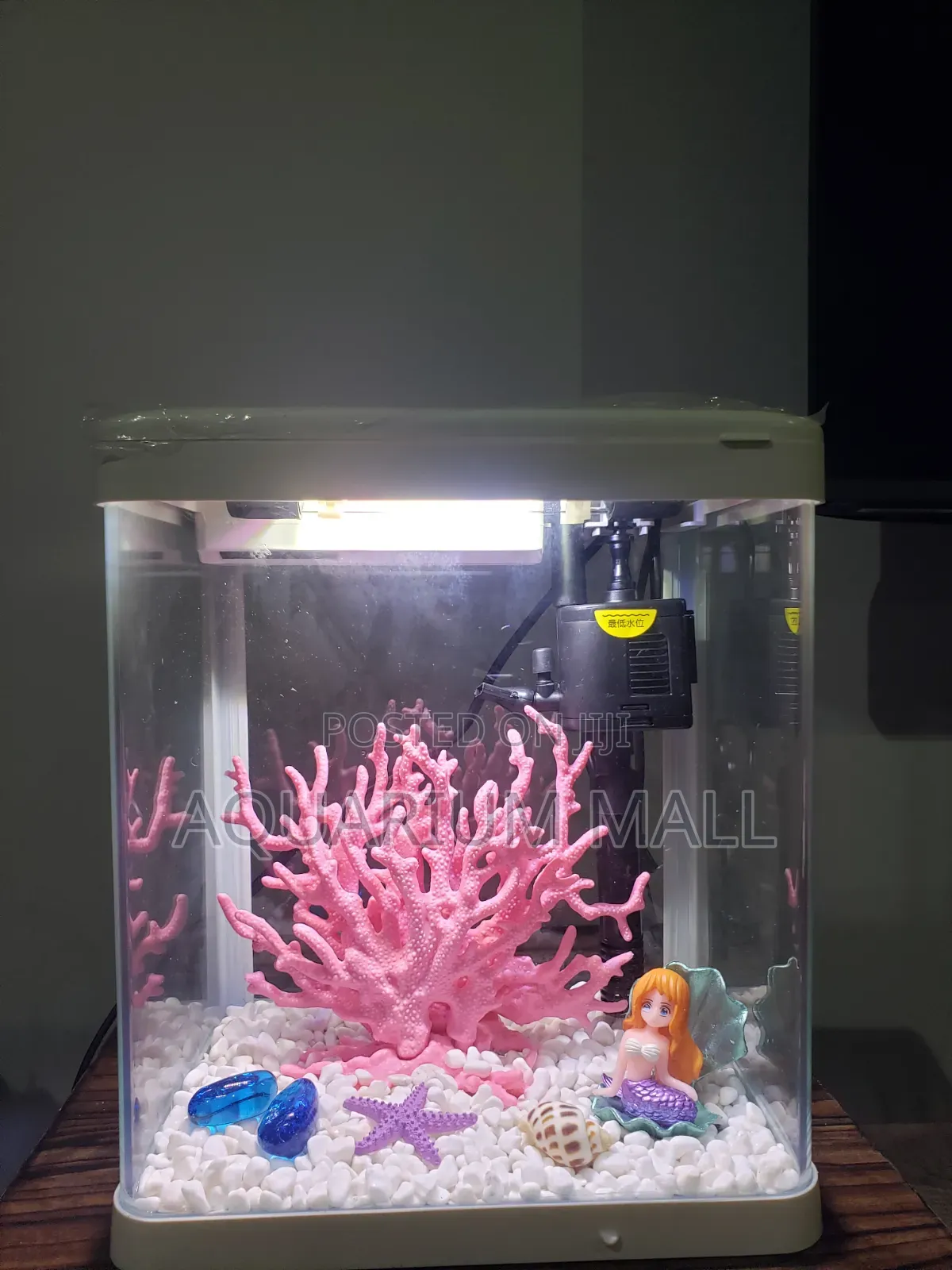 Aquarium Tank