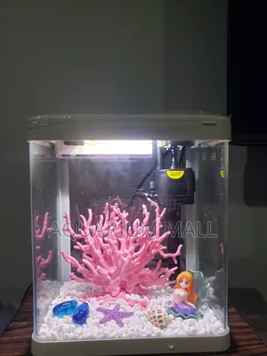 Aquarium Tank