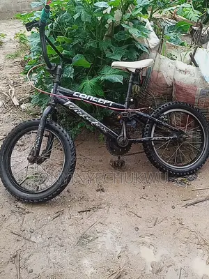 Bicycle for Children