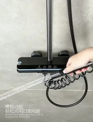 Luxury Executive Shower