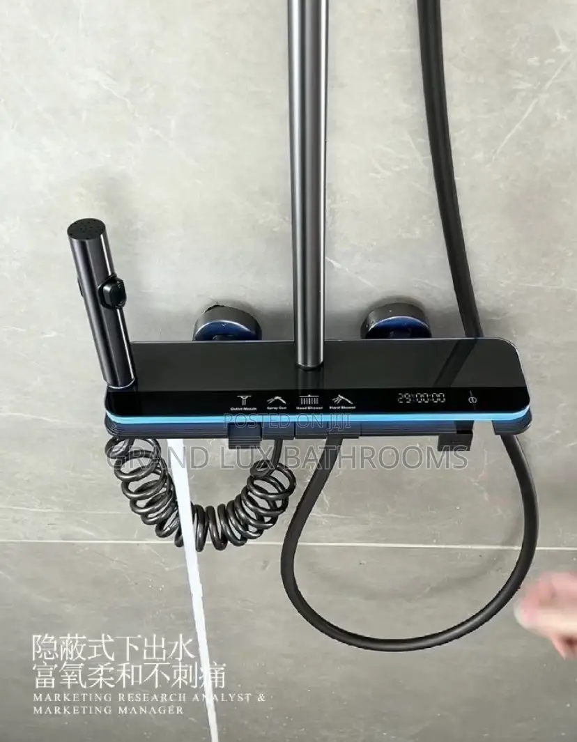 Luxury Executive Shower