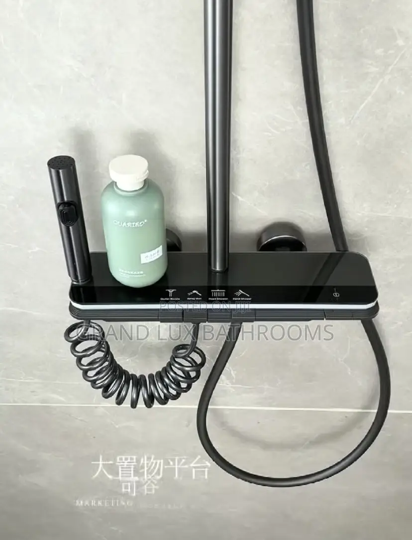 Luxury Executive Shower
