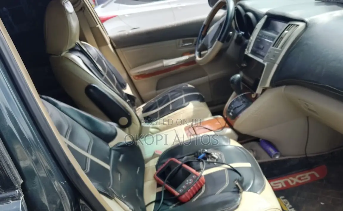 Lexus RX 2004 Gray