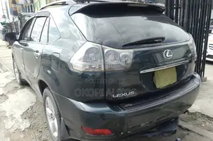 Lexus RX 2004 Gray