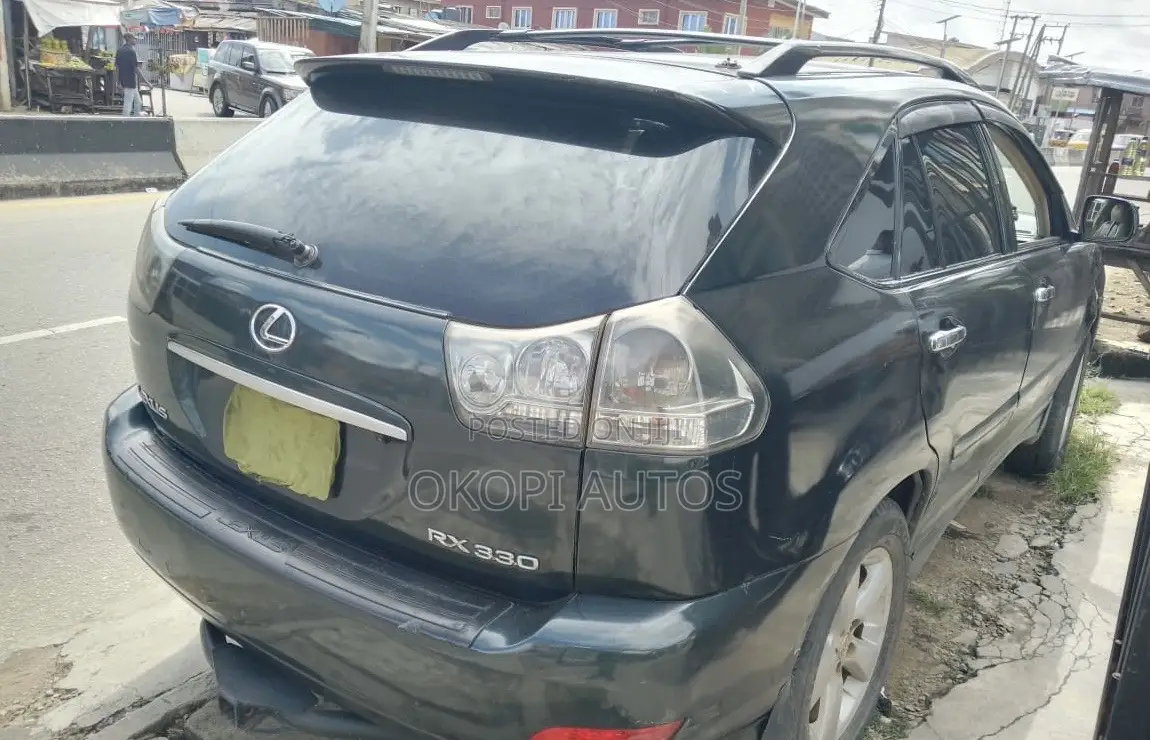 Lexus RX 2004 Gray