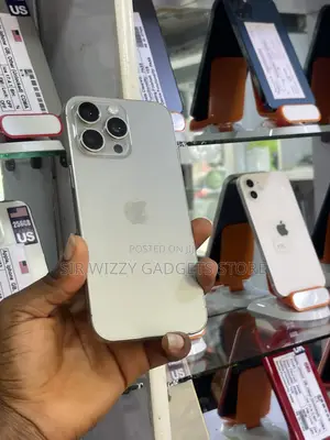 Apple iPhone 15 Pro Max 256 GB Silver