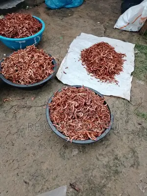 Dried Oporo/Prawns
