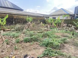 25 X 100 Half Plot Amikanle Ait