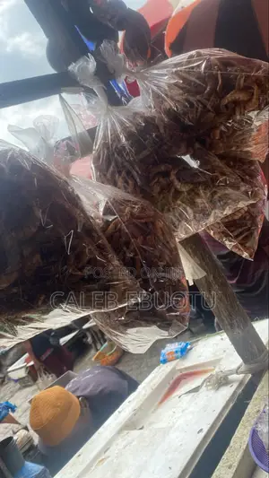 Dried Oporo/Prawns