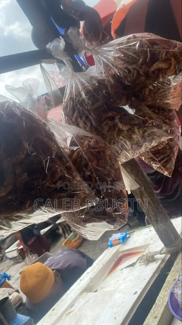 Dried Oporo/Prawns