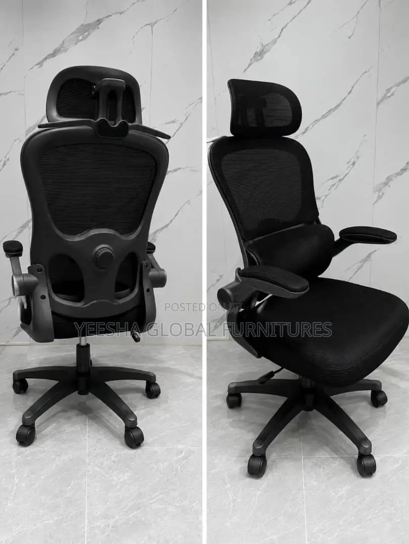 Ergonomic Mesh Chair