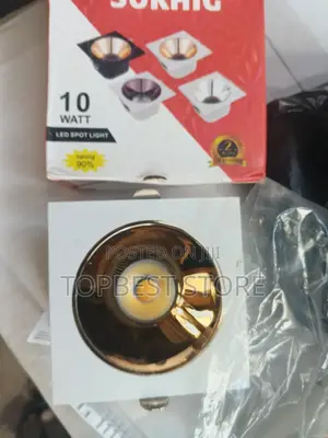 Classic Ceiling Spot Light 10w