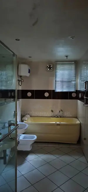 Furnished 2bdrm Apartment in Ikoyi for rent