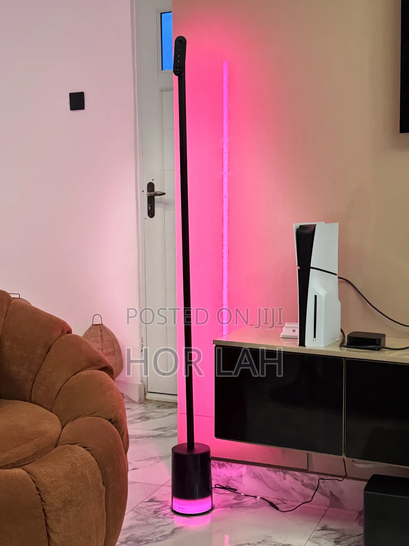 Govee Floor Lamp 2