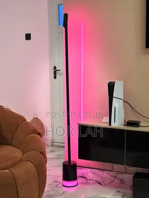 Govee Floor Lamp 2