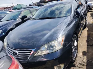 Lexus ES 350 2010 Gray