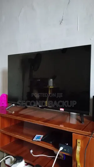 Television