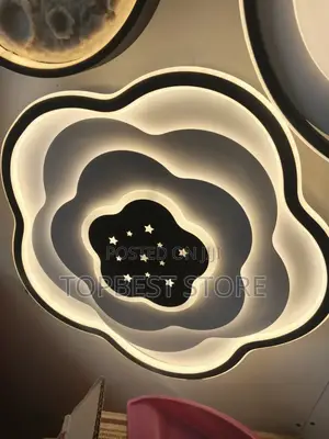 Modern Classic Ceiling Flush Light
