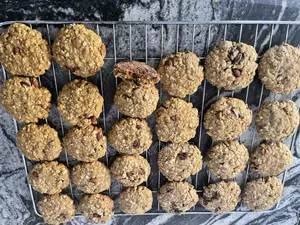 Oat Cookies With Coconut, Nuts Raisins – Real Ingredients