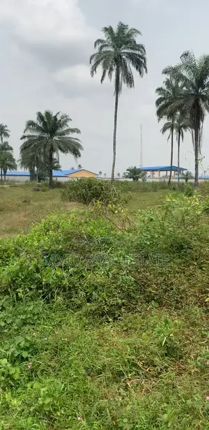 Prime Land for Sale – Obirikwere, Port Harcourt