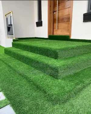 Arttificialgrass for Entrance