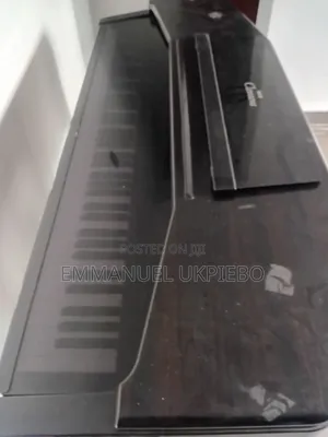 Musical Instrument