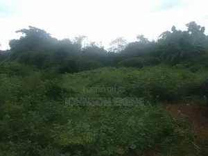 Big Land For Sale