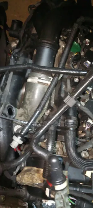 Ford Escape 4plug 2018 Model 1.5l