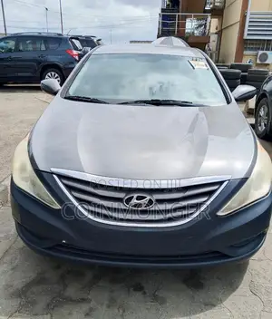 Hyundai Sonata 2013 Gray
