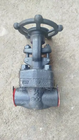 1⁄2 X 8000 Steel Globe Valve Socket Weld