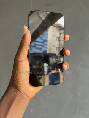Apple iPhone 12 Pro Max 128 GB Gray