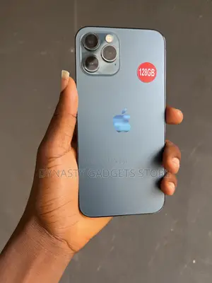 Apple iPhone 12 Pro Max 128 GB Gray