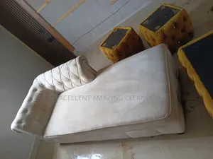 Excellent Amazing Sofa Cleaning Service