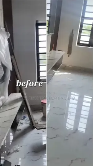 Professional Cleaning and Fumigation Services